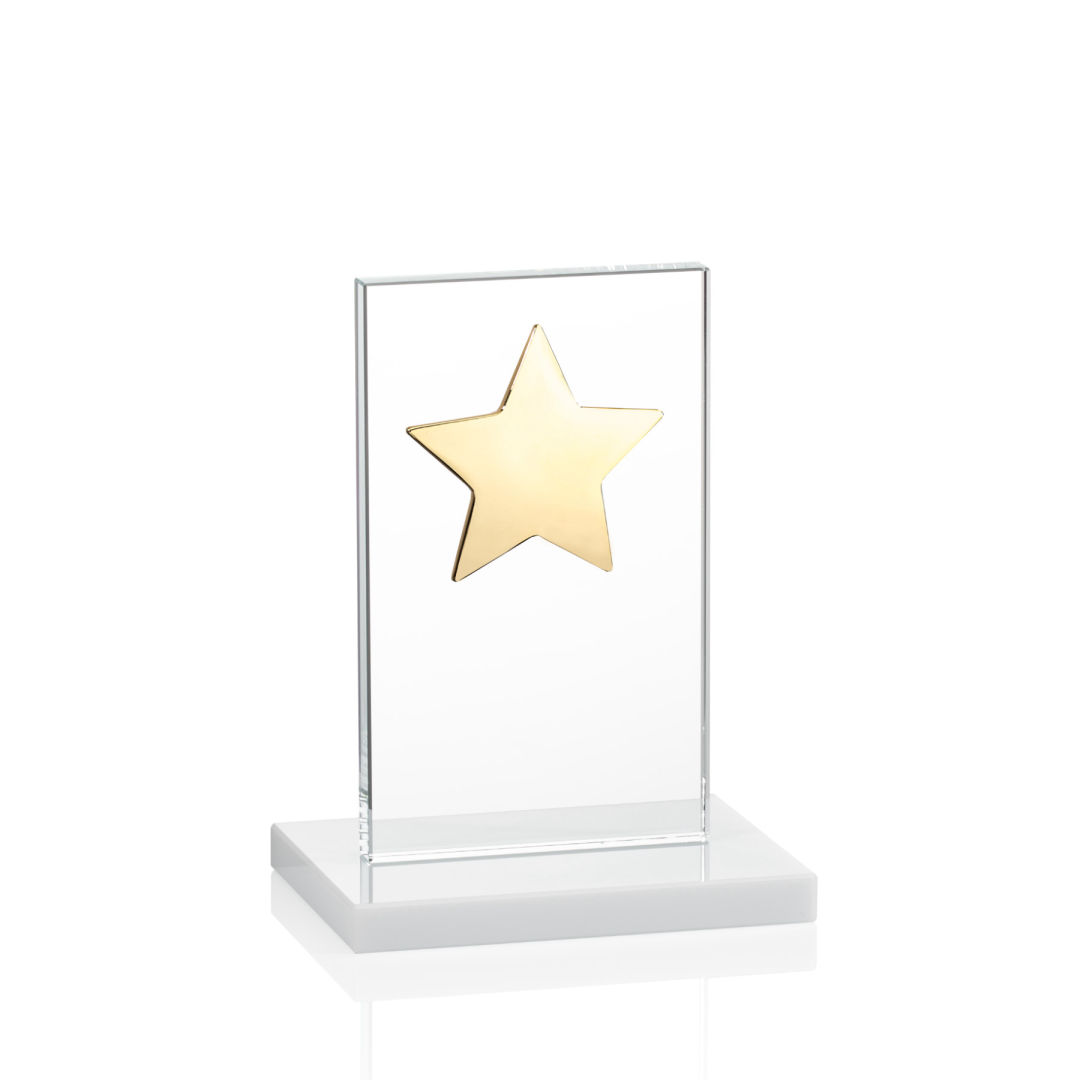 Dallas Star Award - White/Gold 10