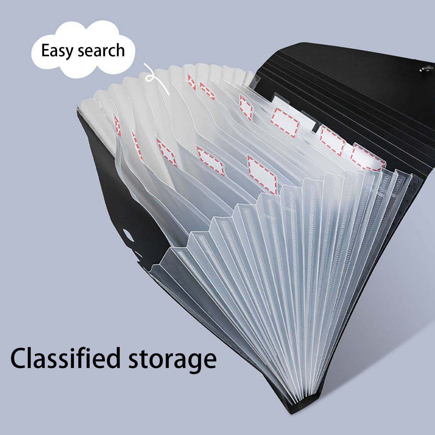 Accordion File Organizer with Elastic Closure 2