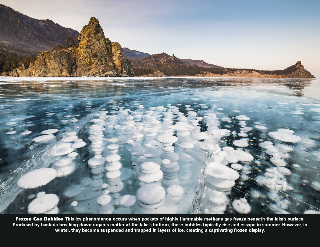 Good Value™ The Power of Nature - Stapled Calendar 71