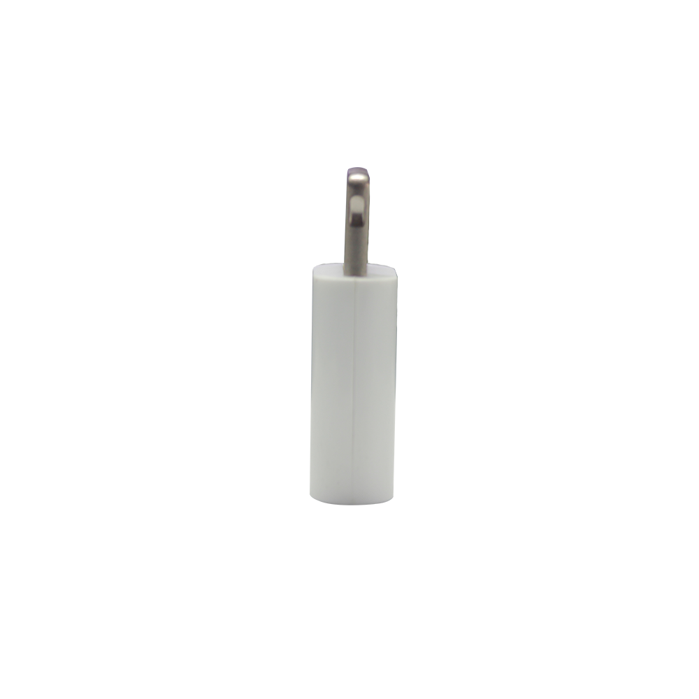 MFi Certified Lightning Adapter