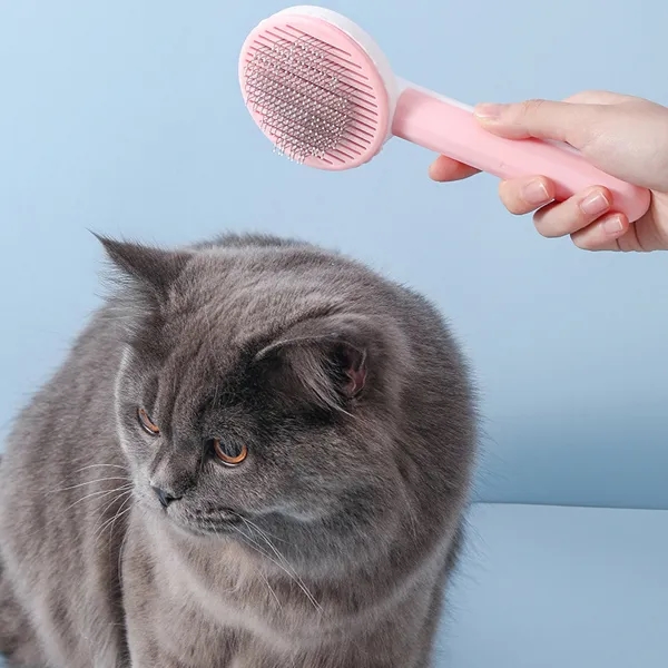 Cat Dog Pet Grooming Brush 6
