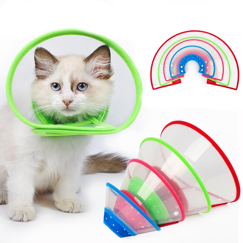 Adjustable Elizabethan Collar 3