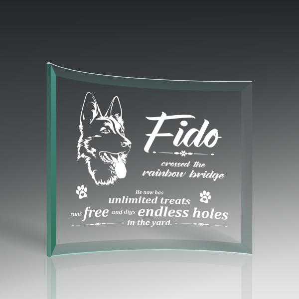 Curved Glass Plaque Award 3