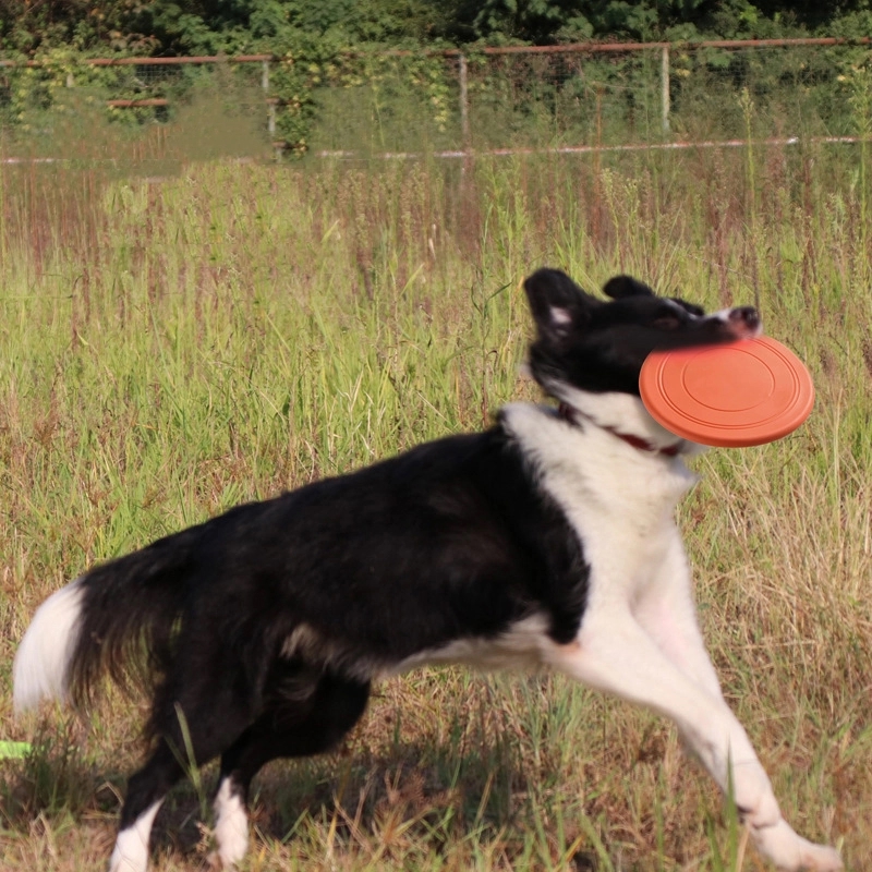 Dog Soft TPR Flying Discs 4