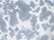 Women's Sueded Fleece Tie-Dyed Crop Hooded Sweatshirt - W23718 3