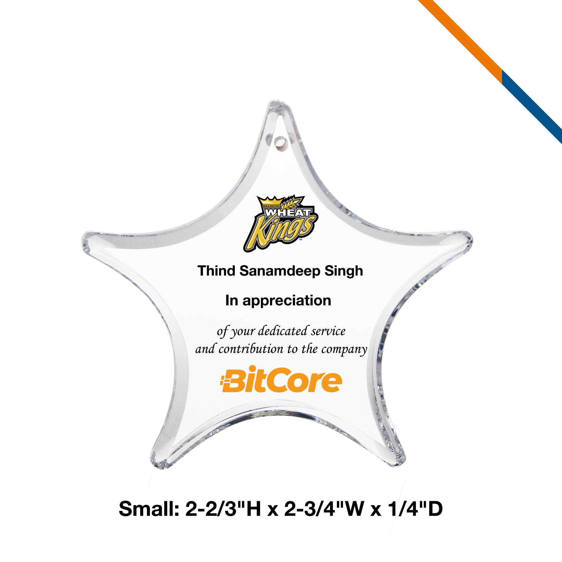 Vicki Star Award Ornament 3