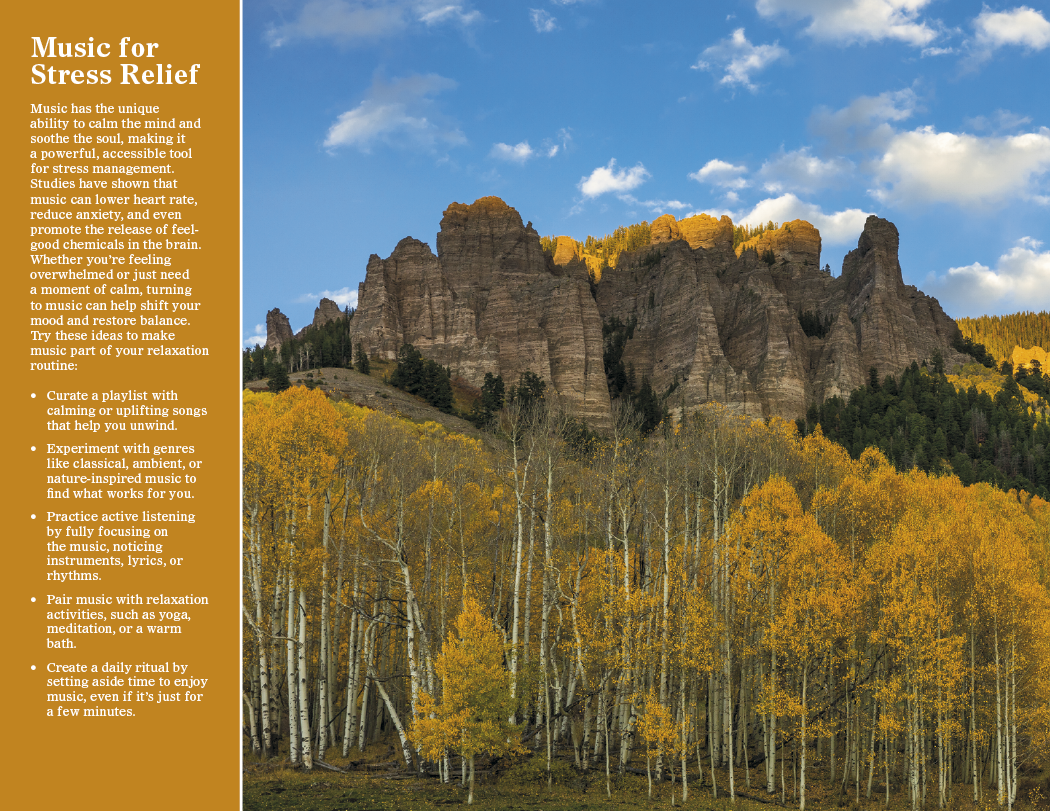 Good Value™ Healthy Living - Window Calendar 27