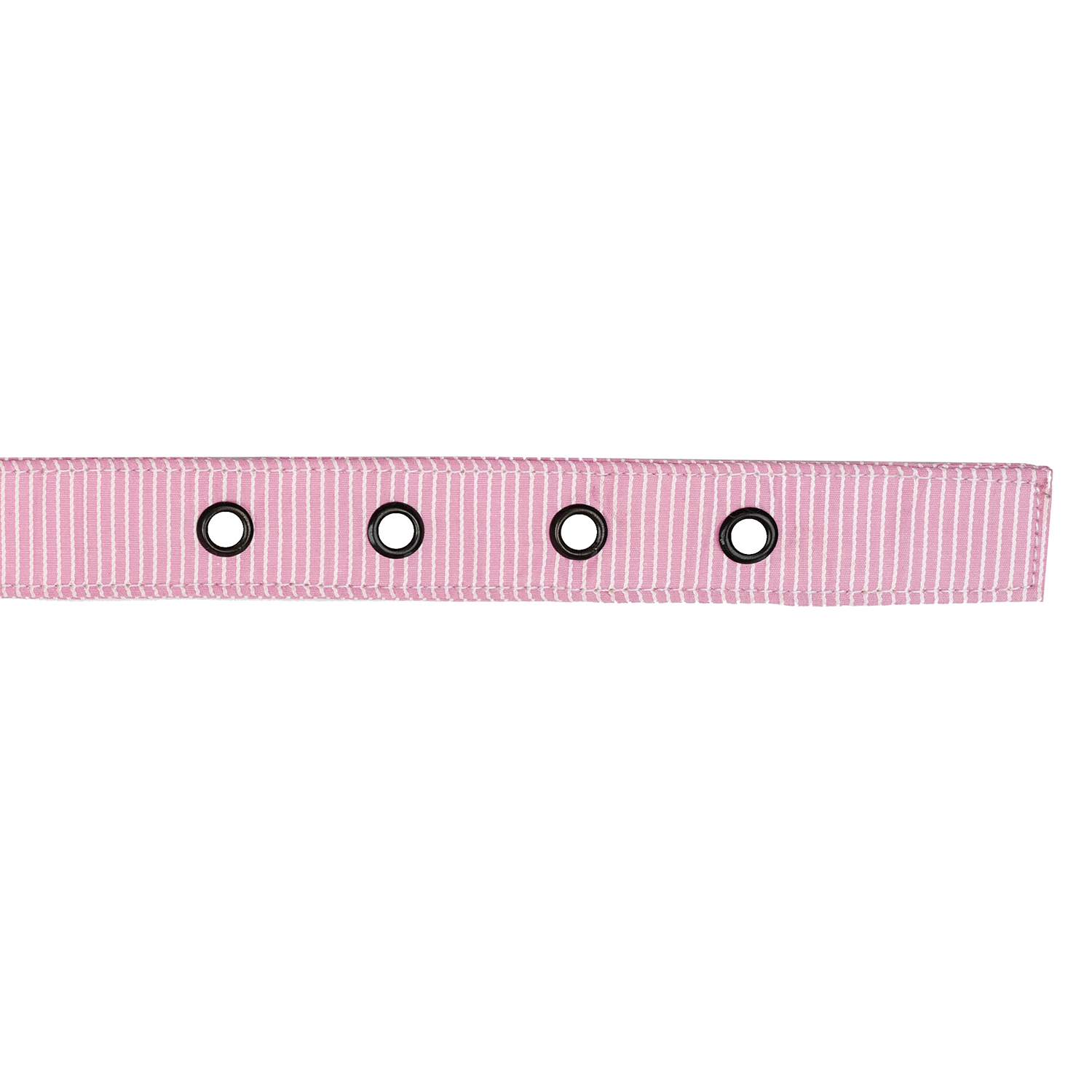 Poly Cotton Premium Large Buckle Dog Collar 20" - 26" 6