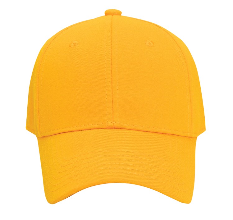 OTTO CAP® 6 Panel Low Profile Baseball Cap 77