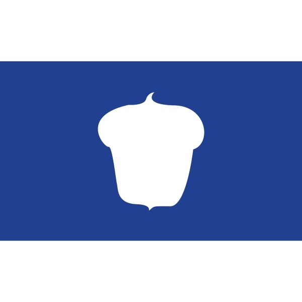 Officers Flag - Treasurer 1