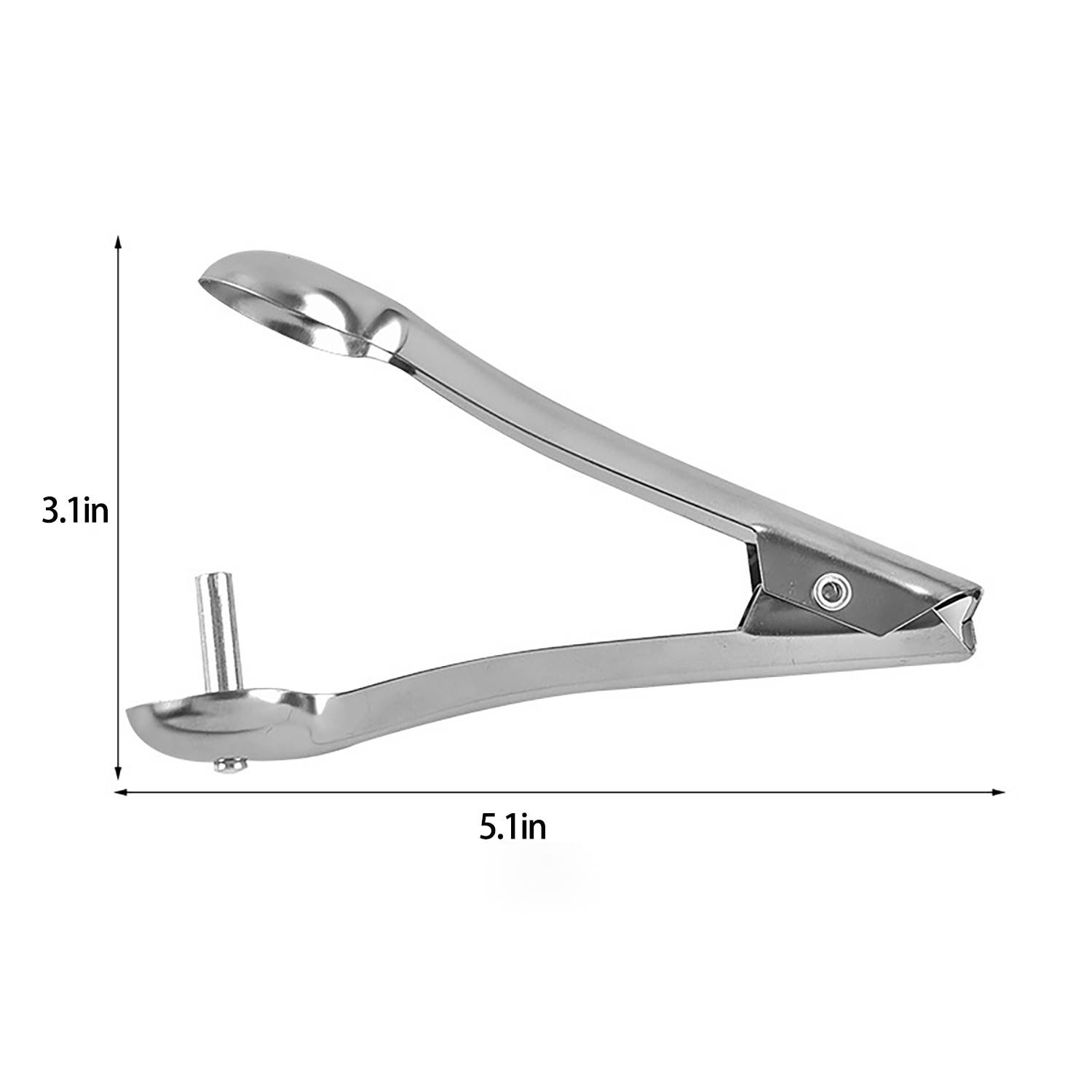 Durable Stainless Steel Jujube Pitter 7