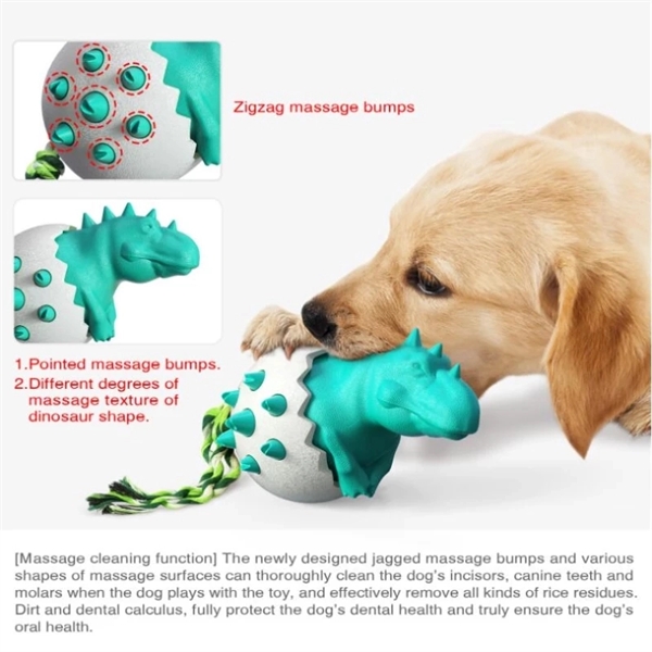 Molar Stick Dog Toy 3