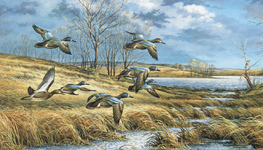 Triumph® Calendars Wildlife Art Calendar 40