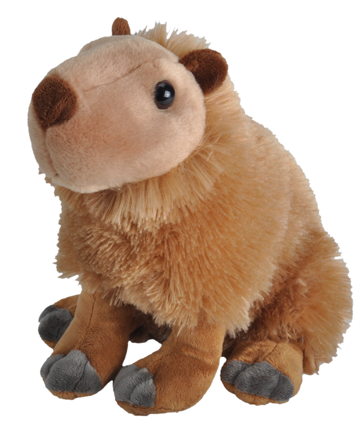 12" Cuddlekin Capybara 2