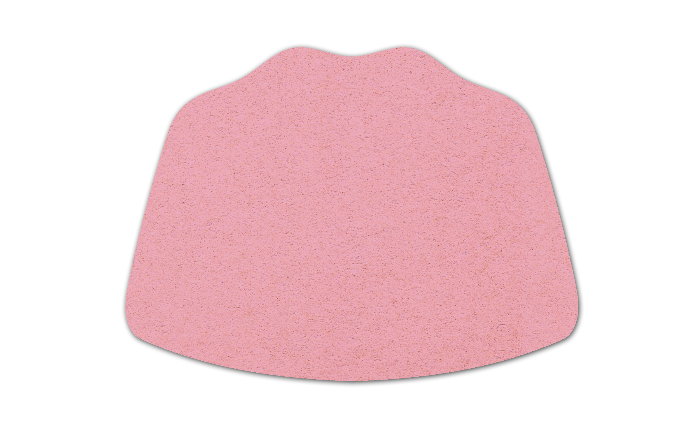 Pet Dish Compressed Sponge 10
