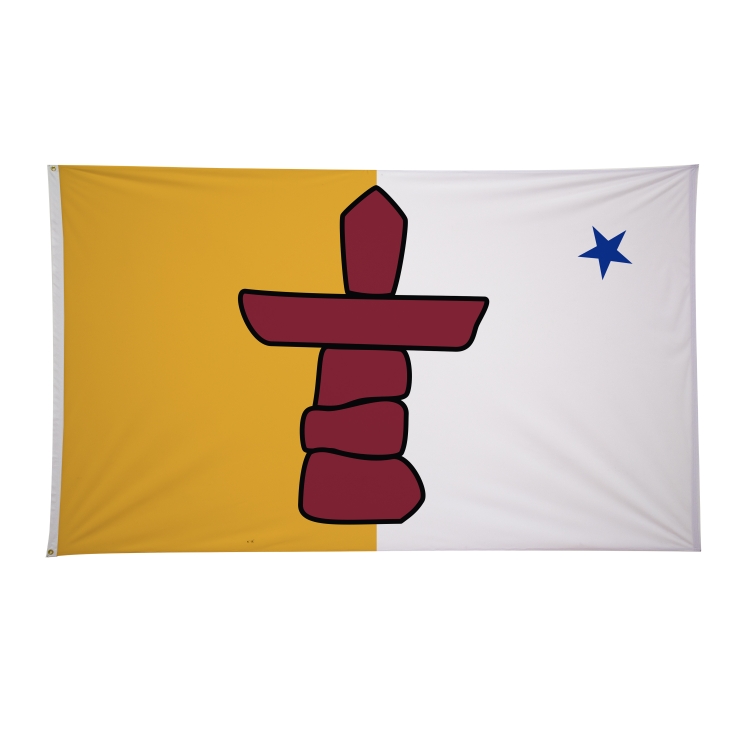 6' x 10' International Flags 223
