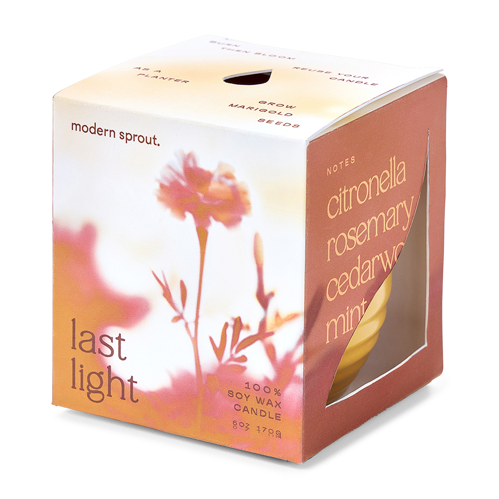 Modern Sprout® Garden Vibes Candle/Planter 38
