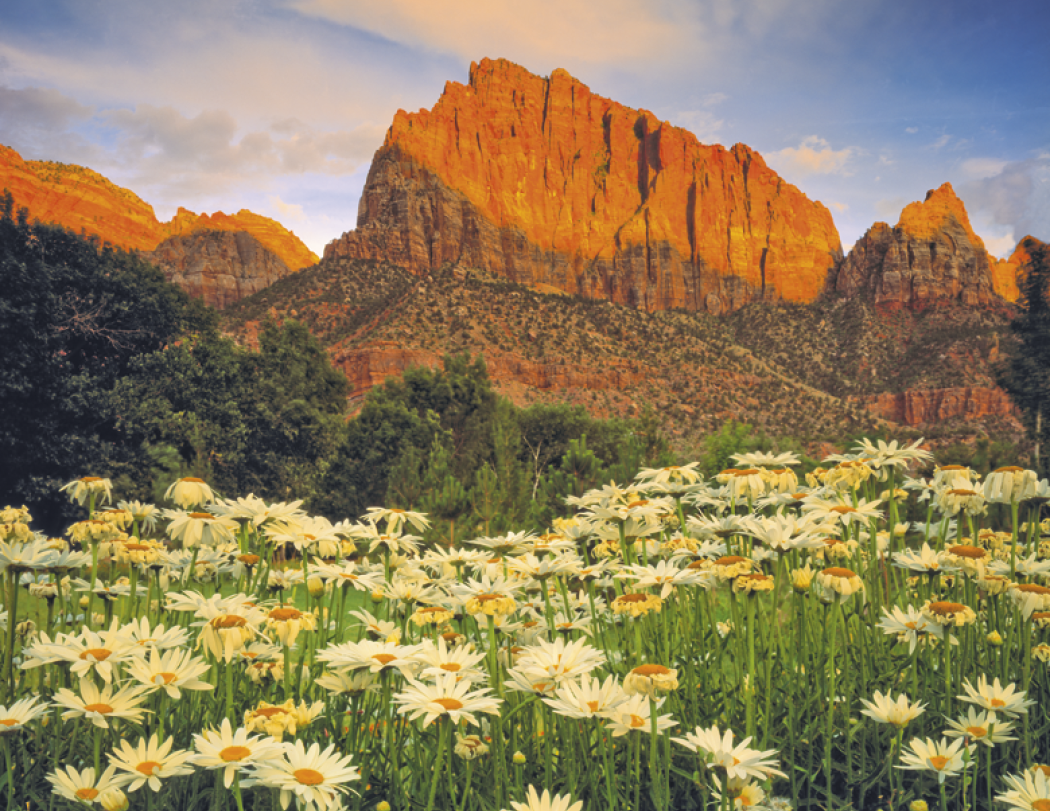 Good Value™ Landscapes of America - Stapled Calendar 56