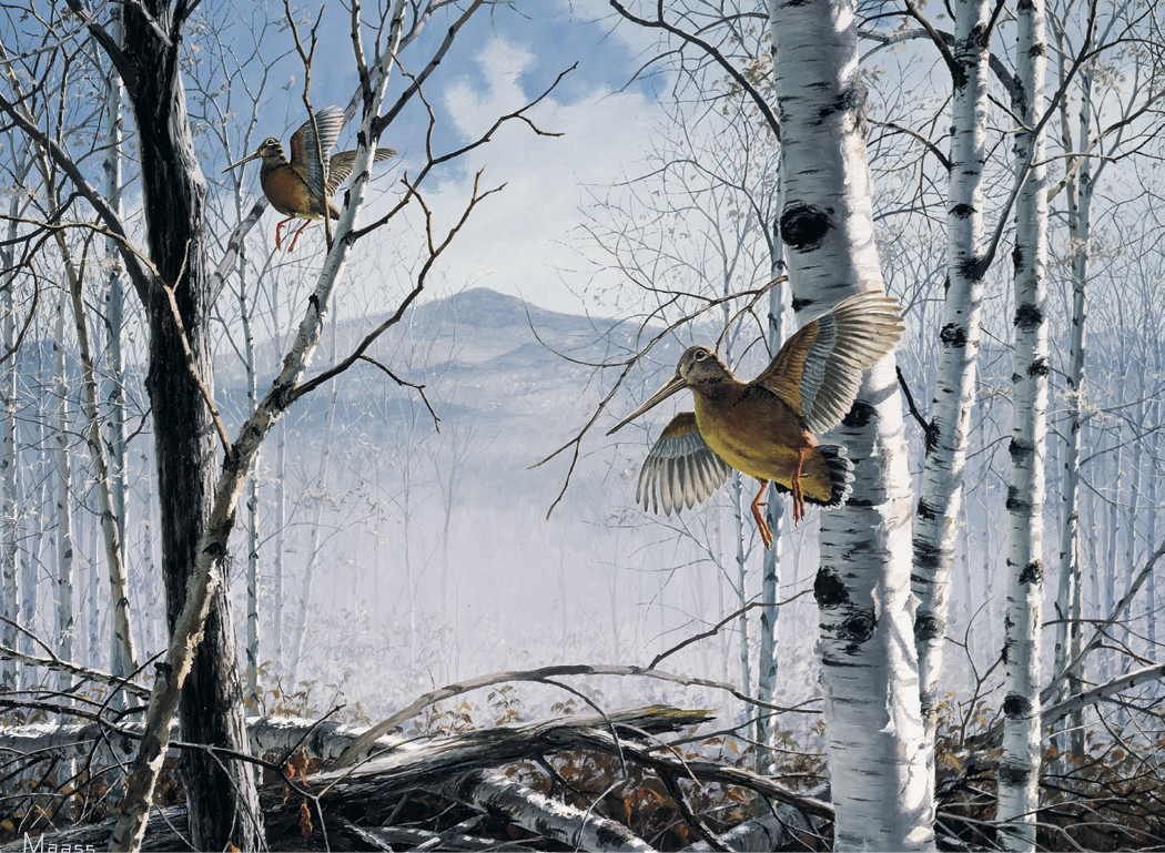 HotLine® Products Maass Wildfowl® Executive Calendar 21