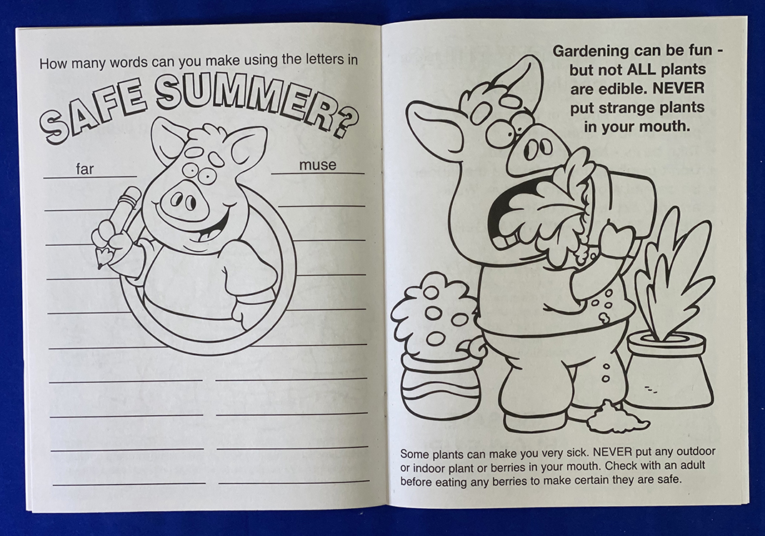 COLORING BOOK - Have a Safe Summer Coloring & Activity Book 1