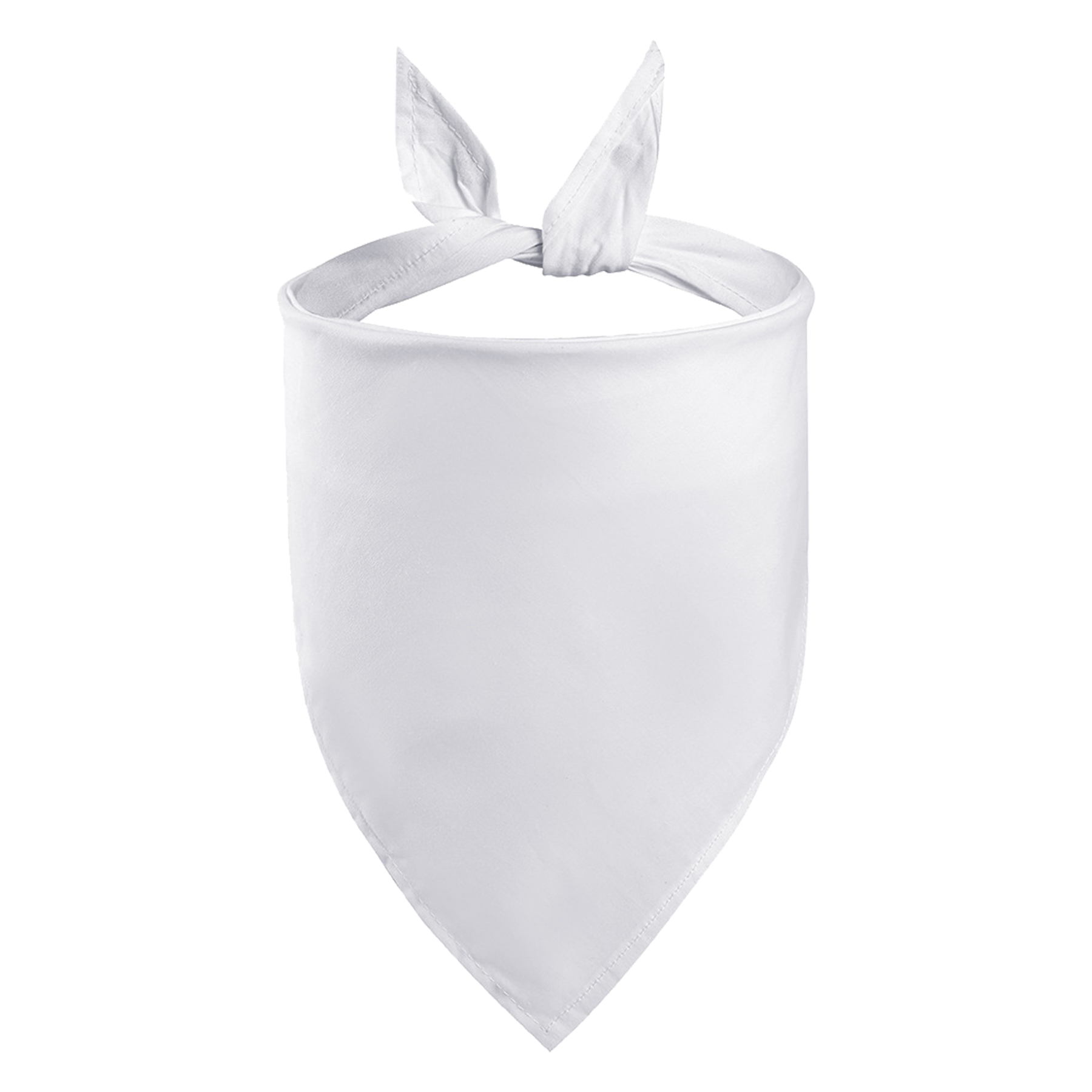 Pet Bandanna 9