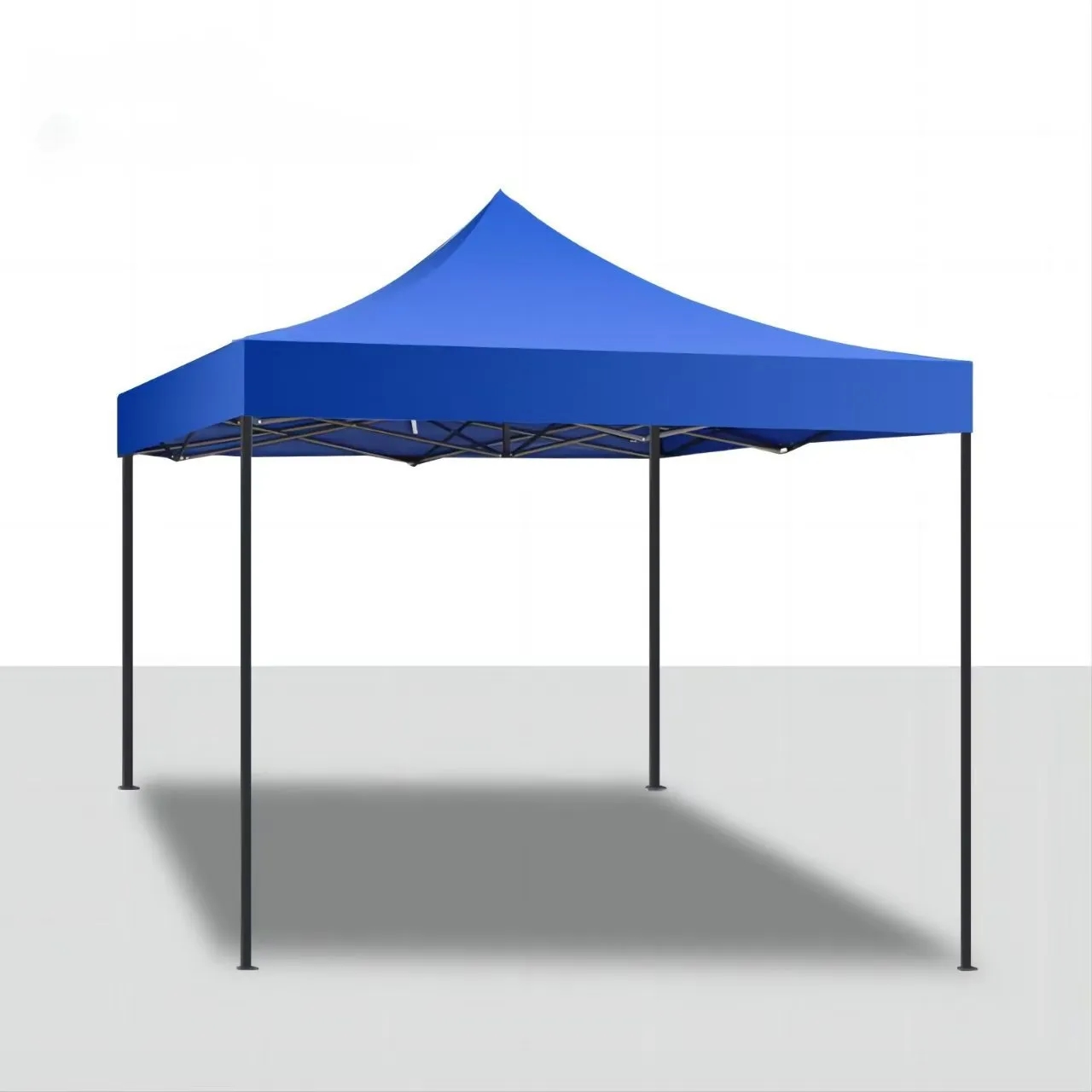 Canopy Tent 1