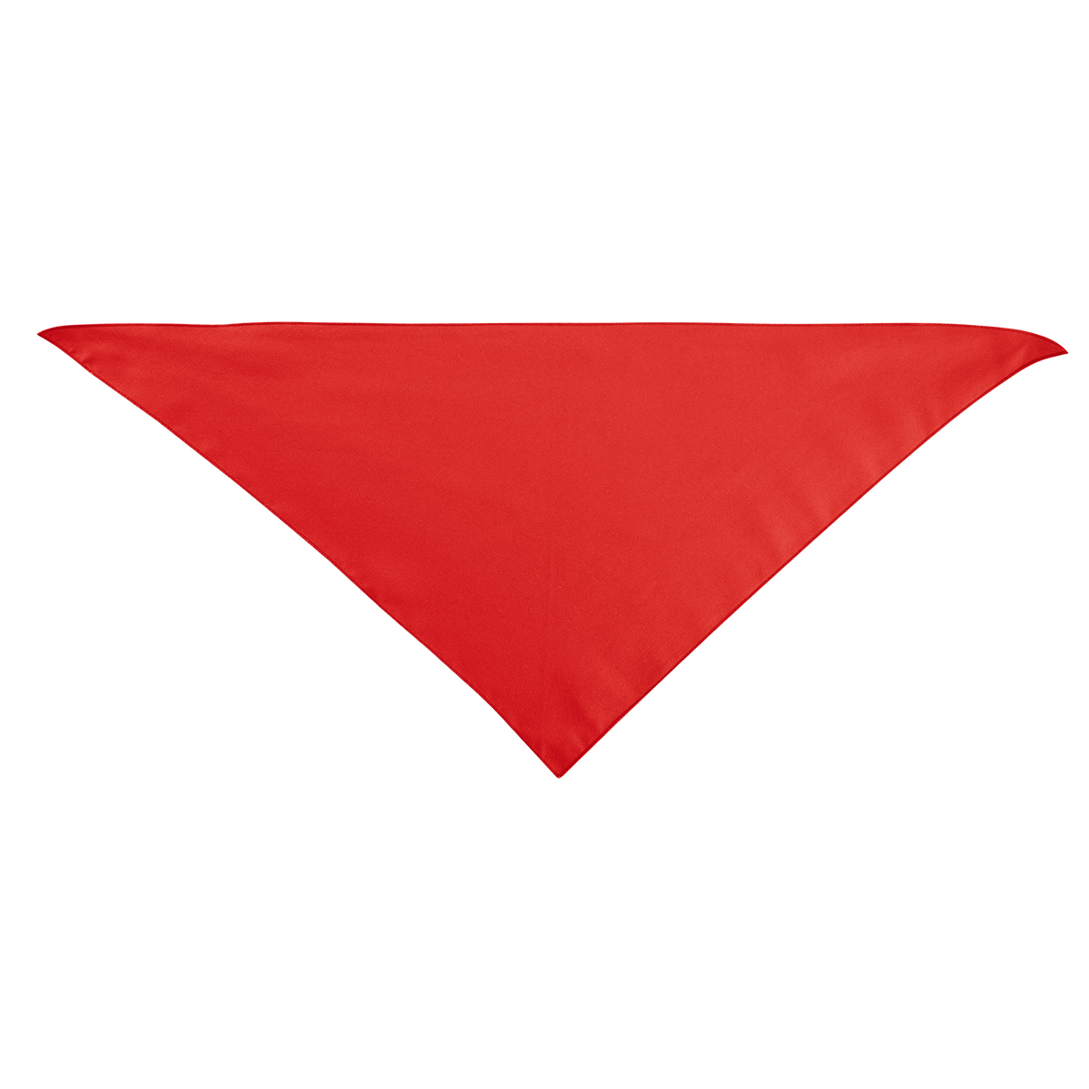 Large Triangle rPET Pet Bandana 21