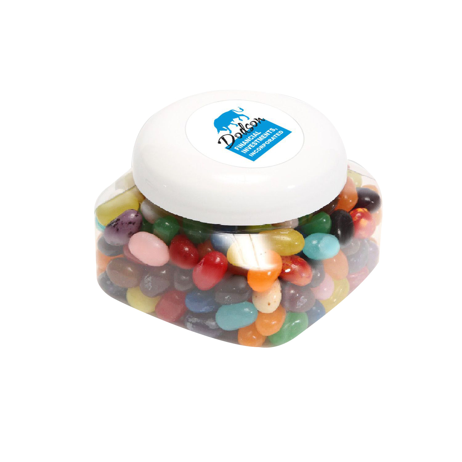 Large Snack Canister Premium Fill 7