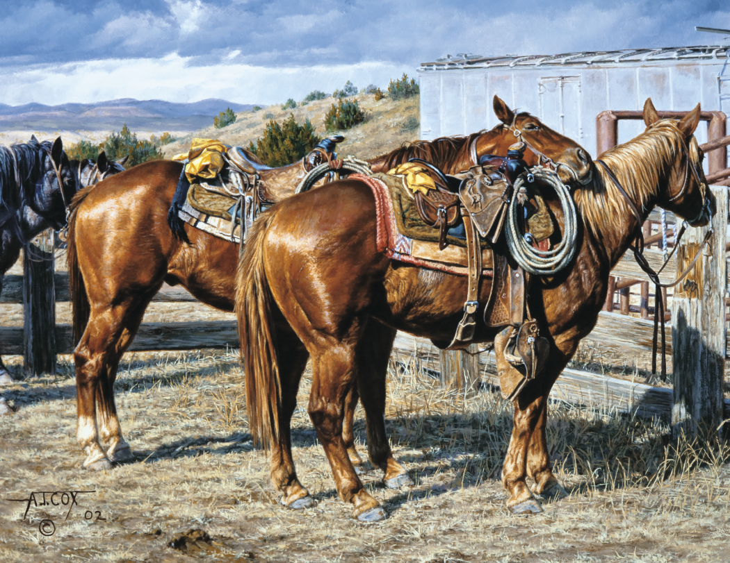 Triumph® Calendars American West by Tim Cox Calendar 19