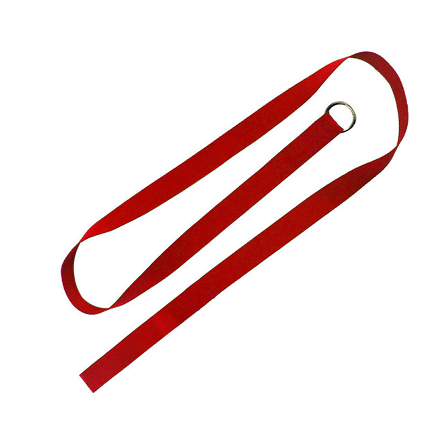 Paws for Life Slip Leash 5