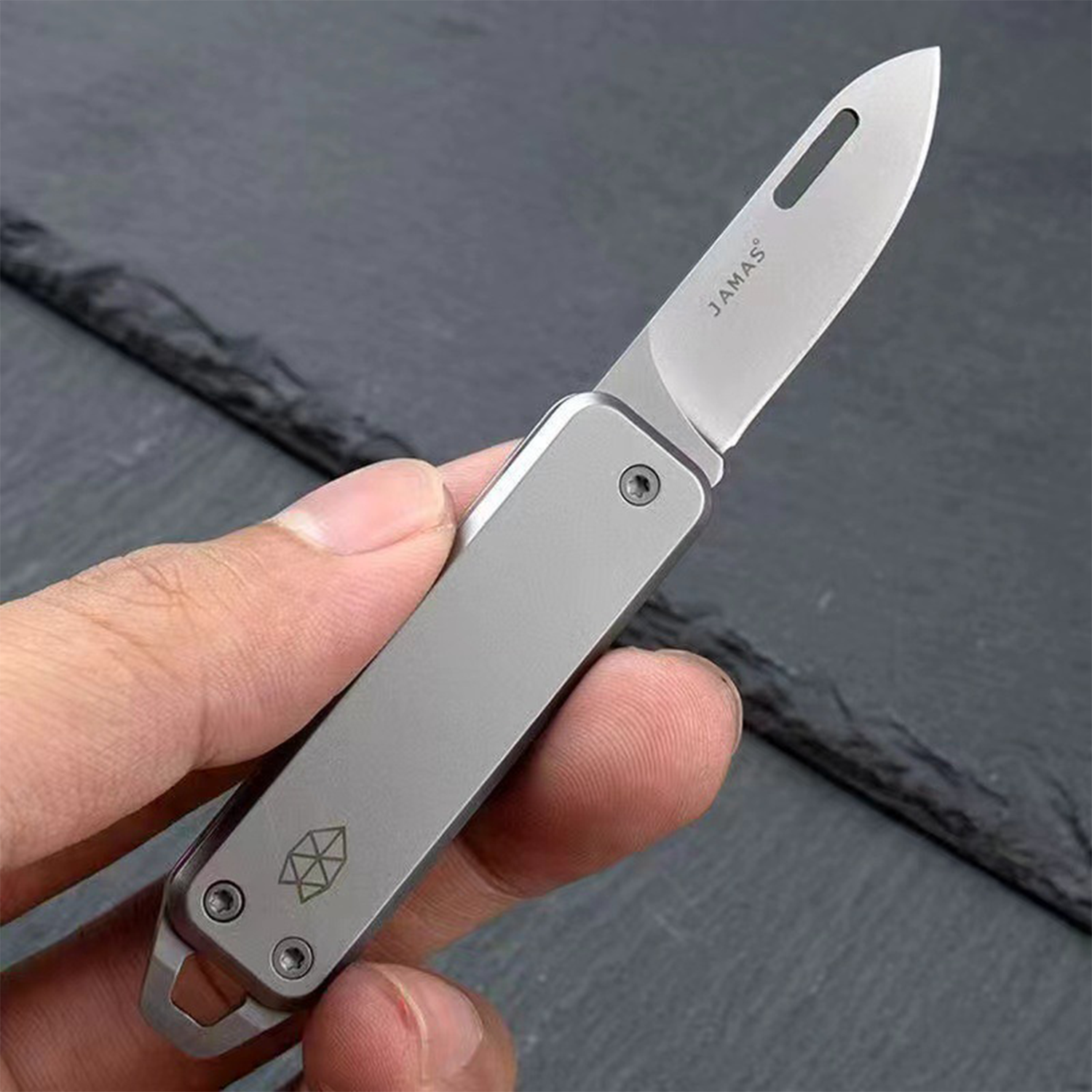 Stainless Steel Folding Knife 6