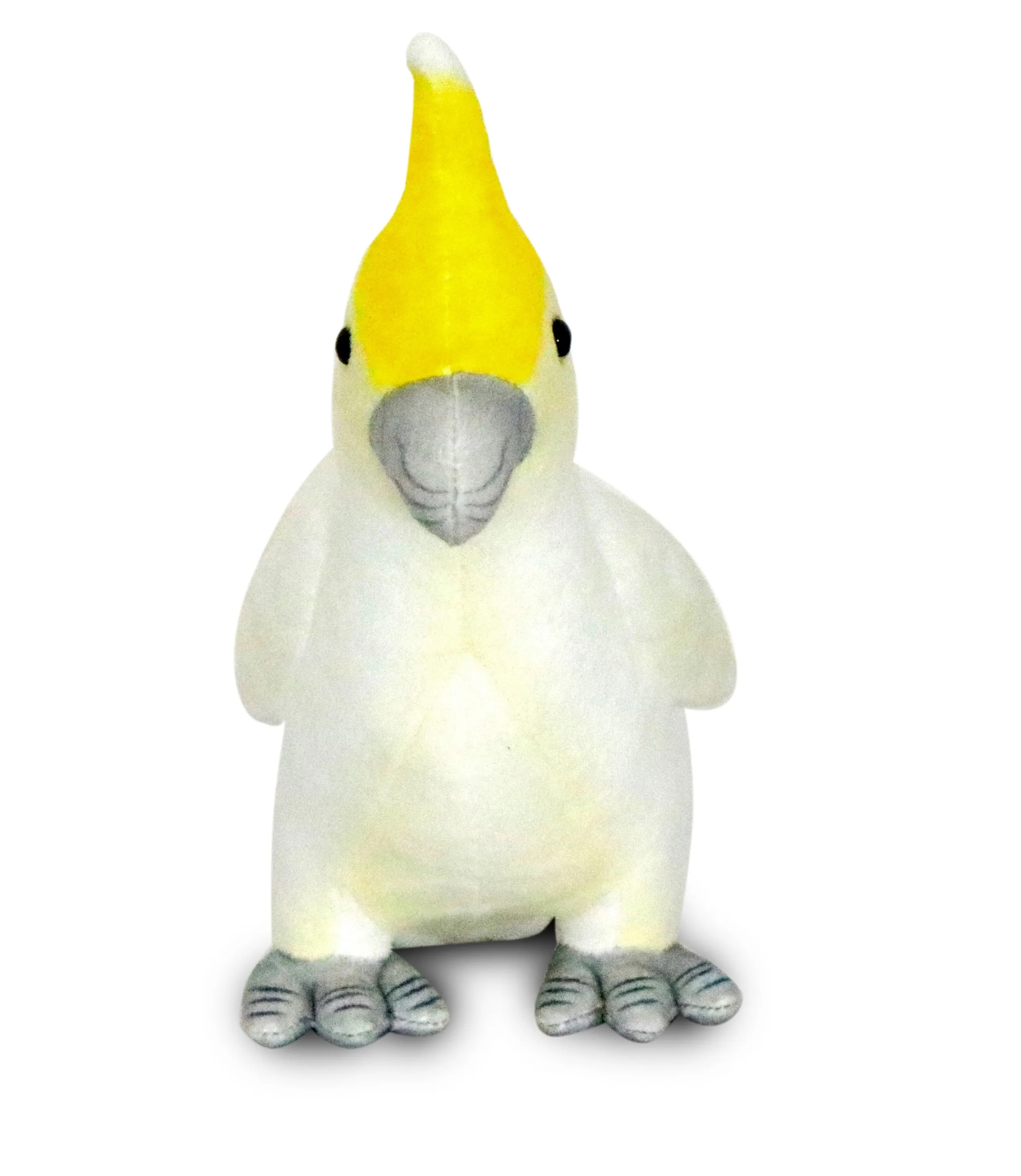 White Parakeet 4