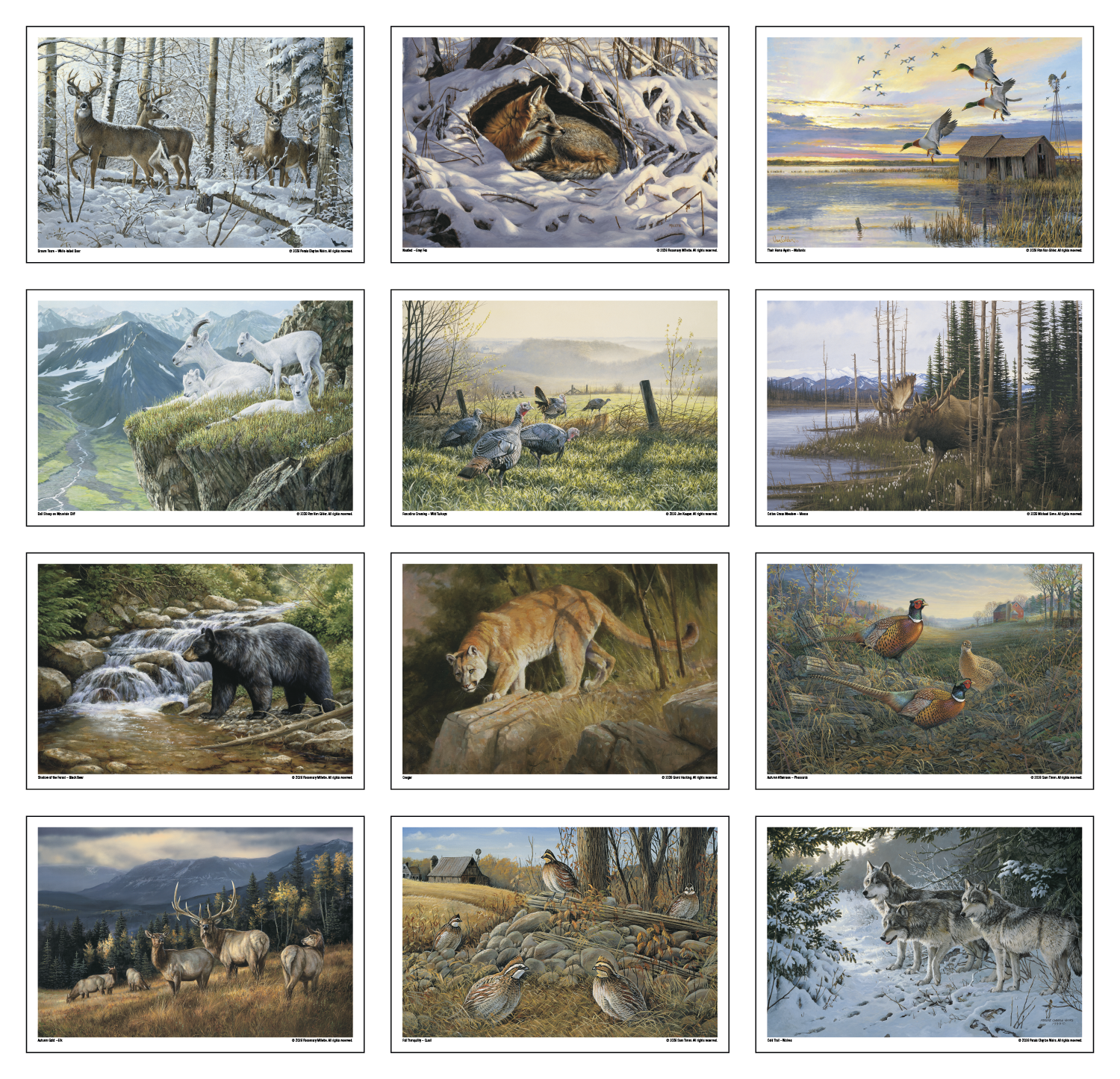 Triumph® Calendars Wildlife Art Calendar 7