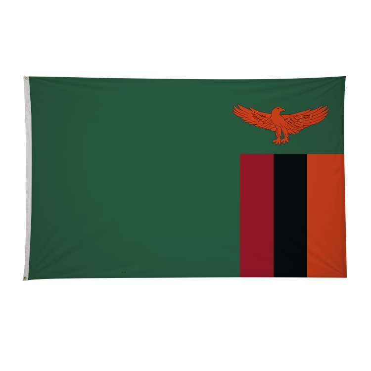 5' x 8' International Flags 265