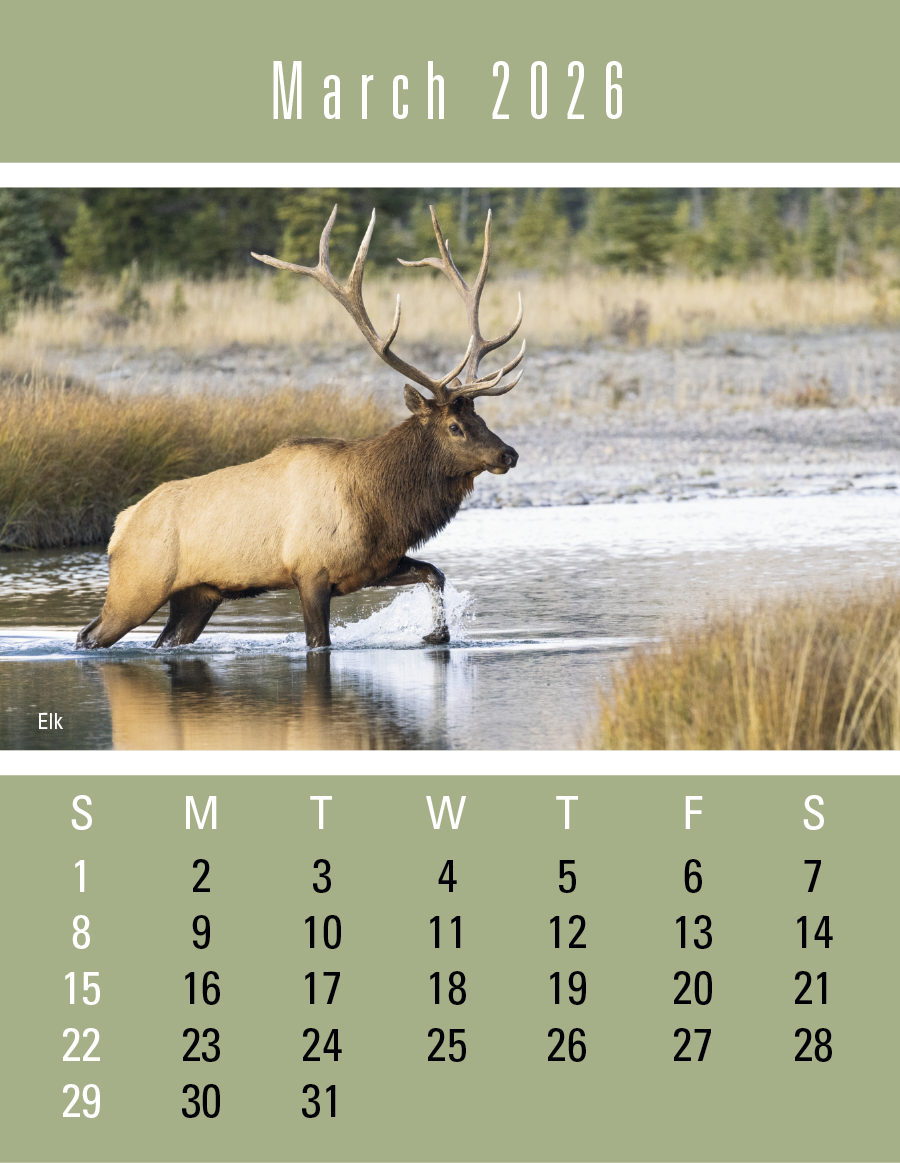 Press-N-Stick Sportsmen Calendar