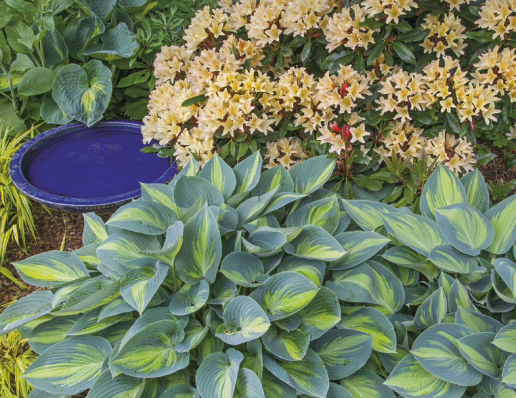 Triumph® Calendars Gardens Calendar 26