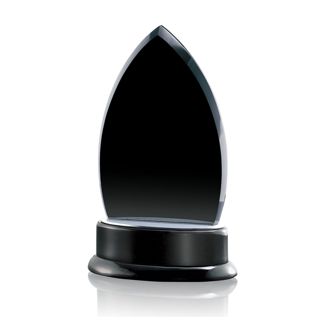 Thompson Award 3