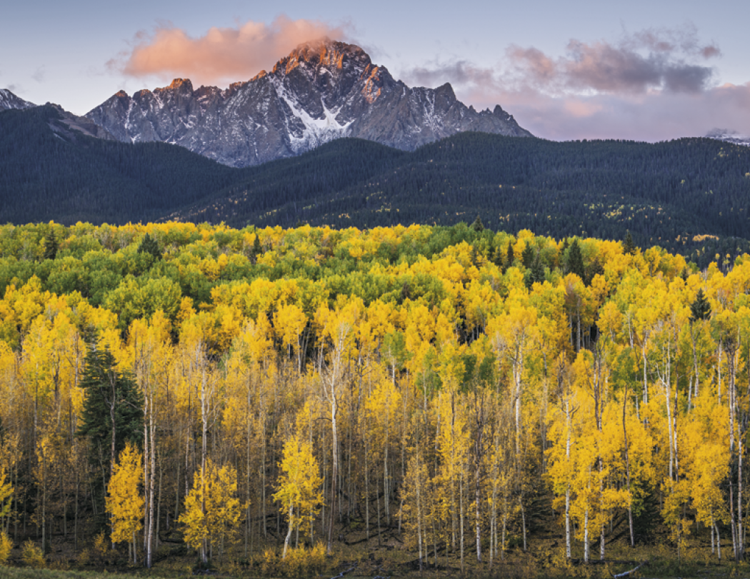 HotLine® Products Contemplations Appointment Calendar - Spiral 30