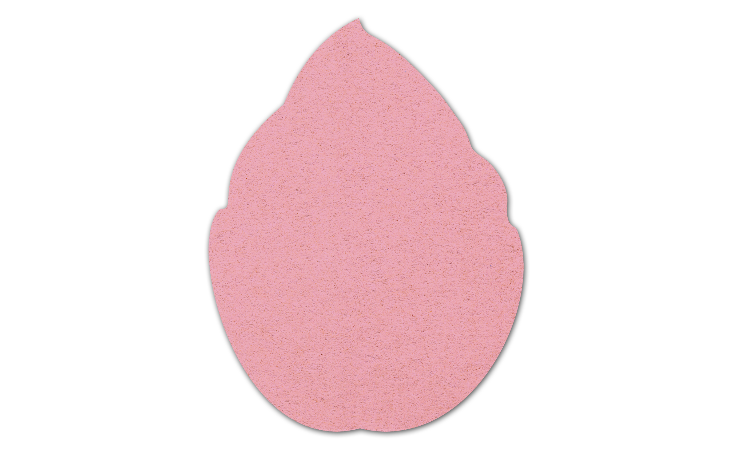 Leaf Compressed Sponge 10