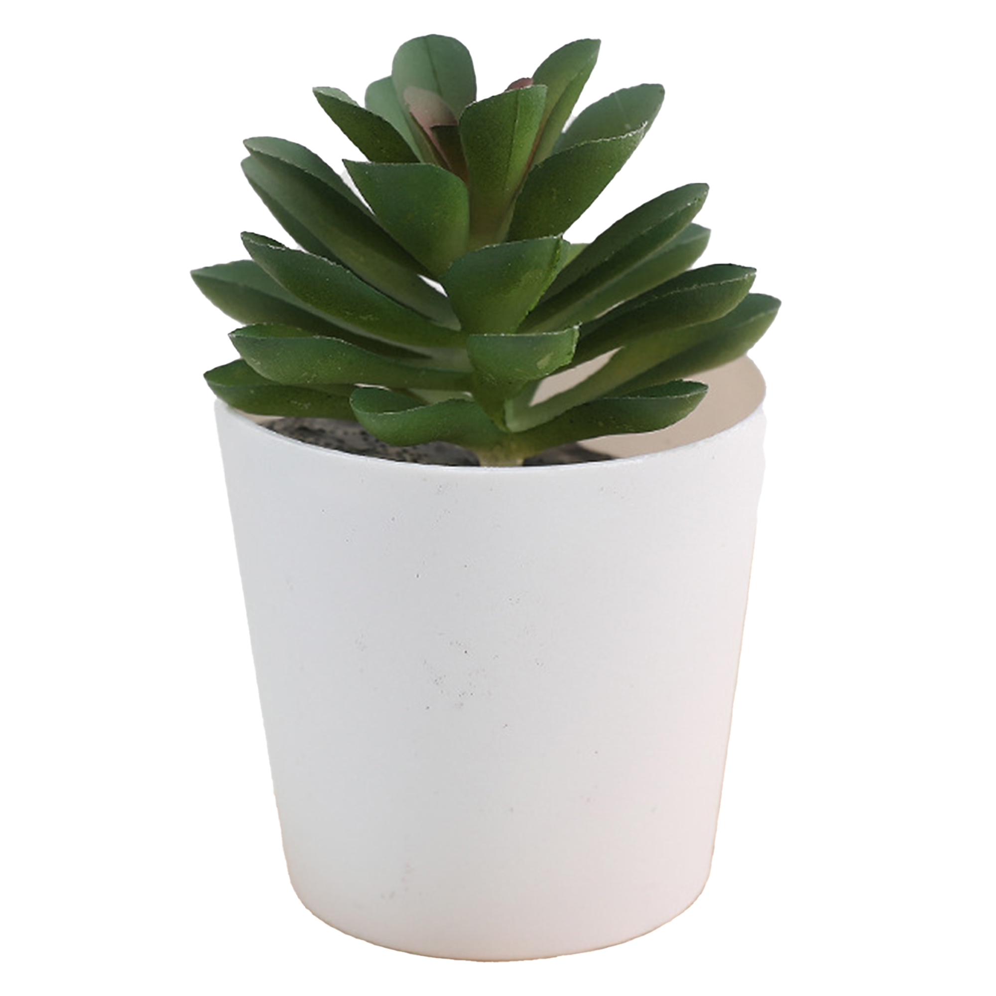 Mini Succulent Potted Plant Set for Home Decor 9