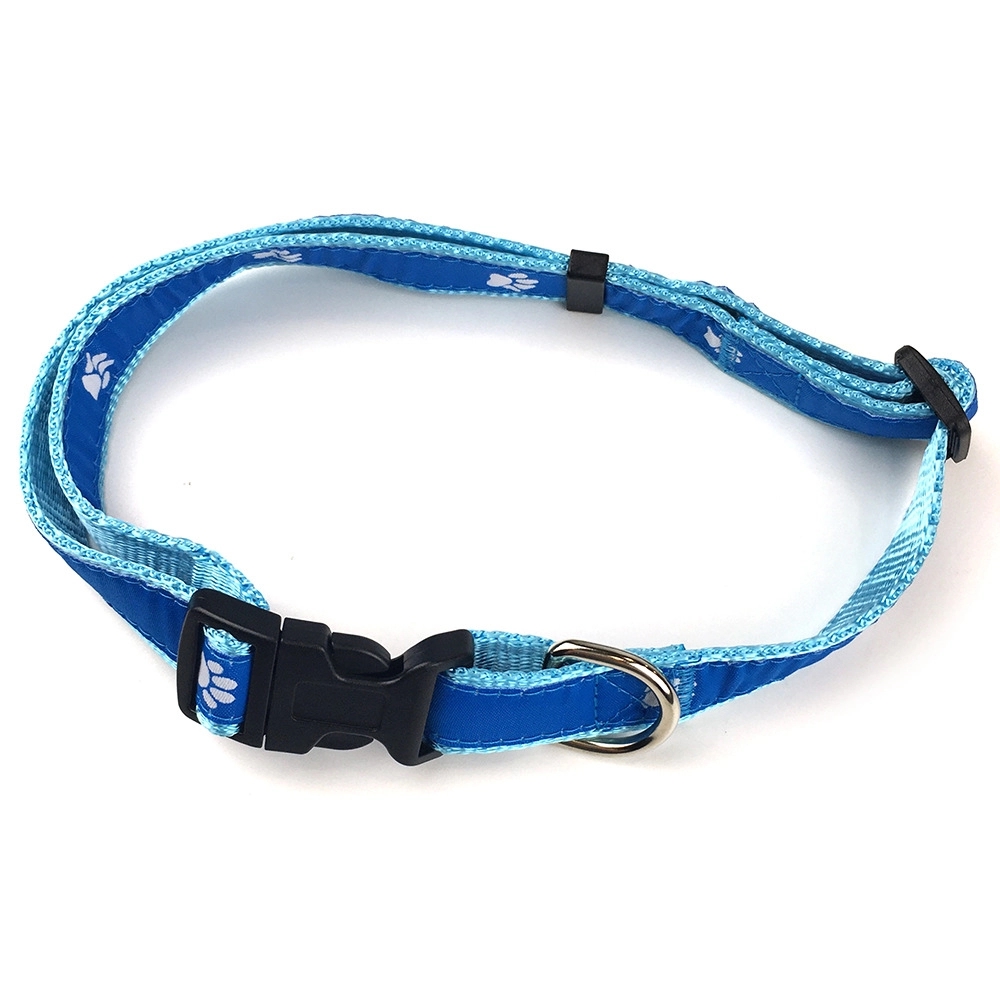Pet Leash And Collar Set With Buckle 5