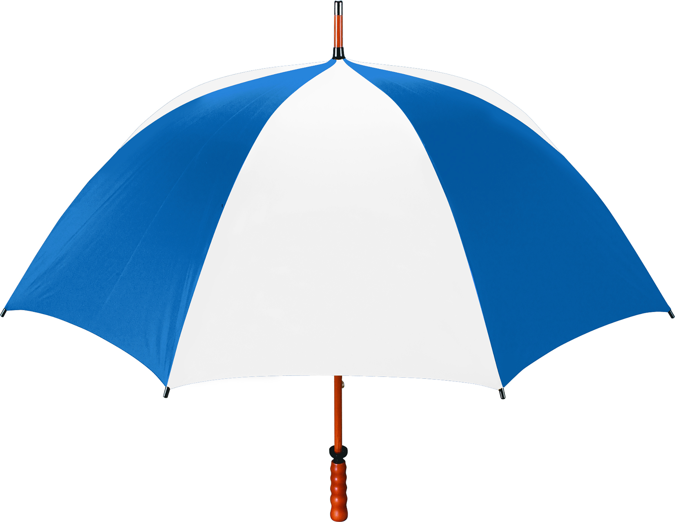 The Eagle Umbrella 4