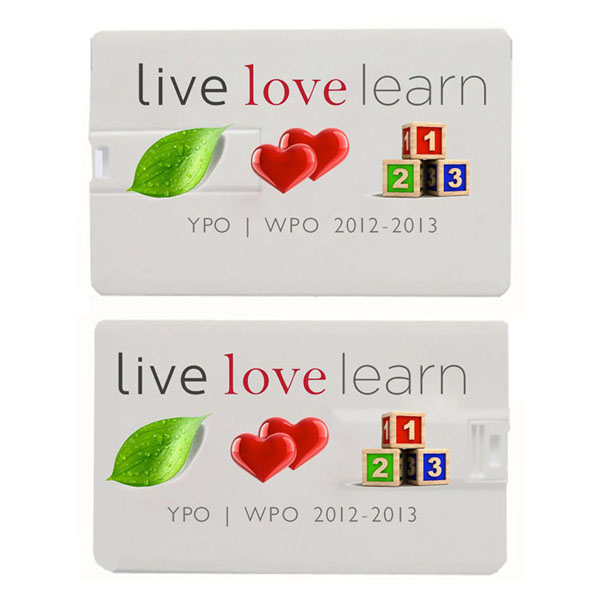 Credit Card Look Swivel USB Flash Drive 9