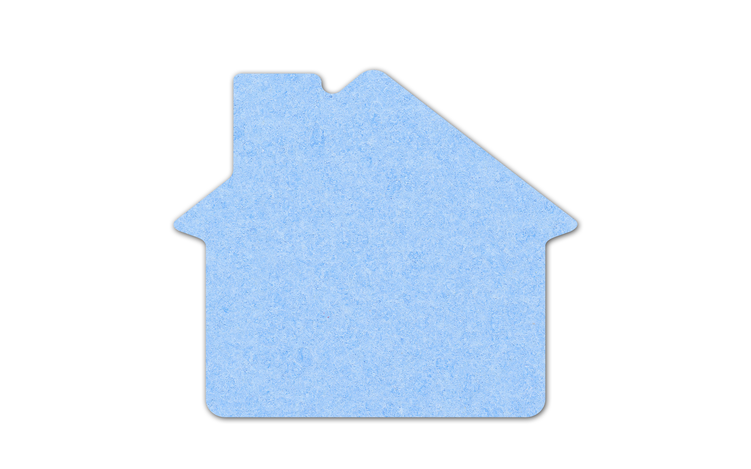 House Compressed Sponge 4HS 4