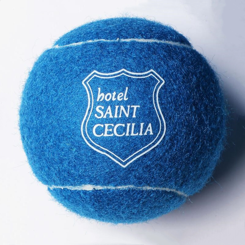Tennis Ball / Dog Toy Ball 1