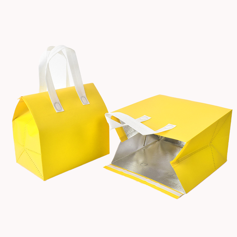 Aluminium Foil Insulation Bag 14