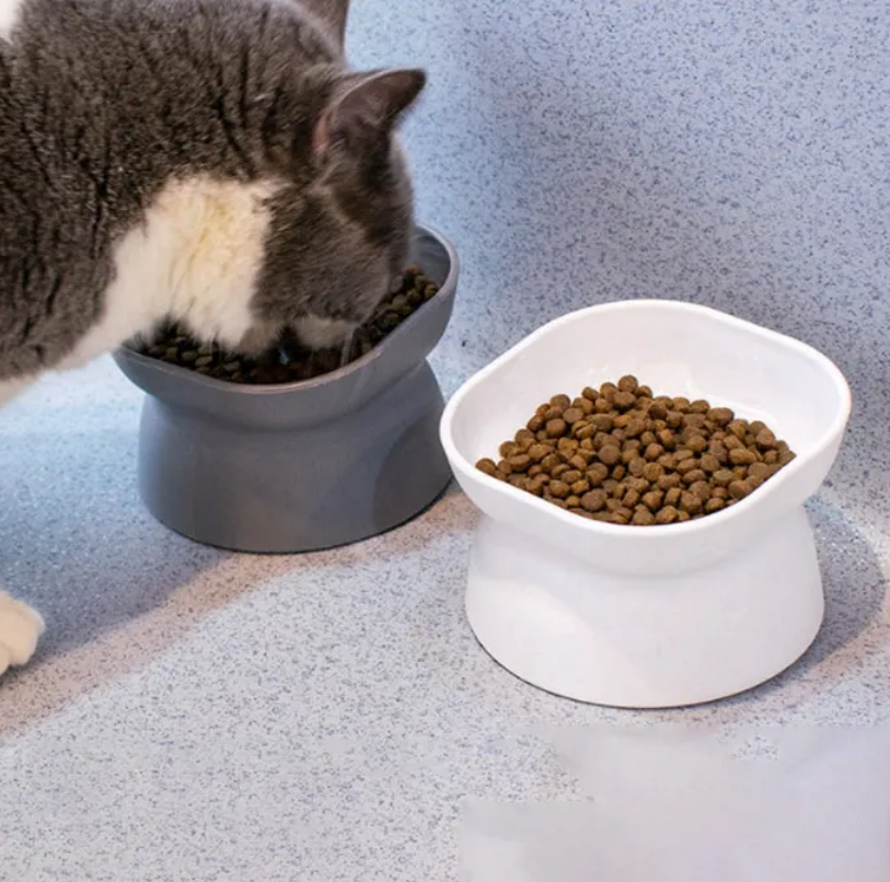 Pet Bowl / Food Dish 3