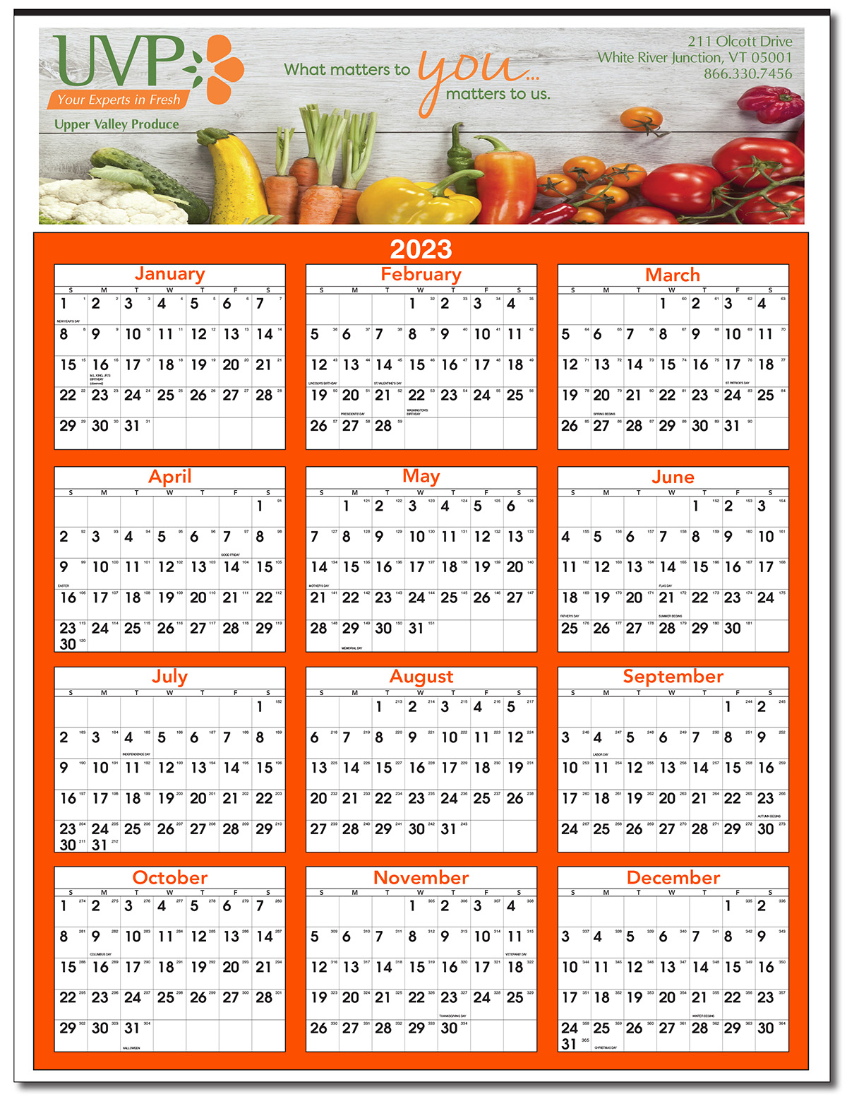 Full Color Yearly View Wall Calendar