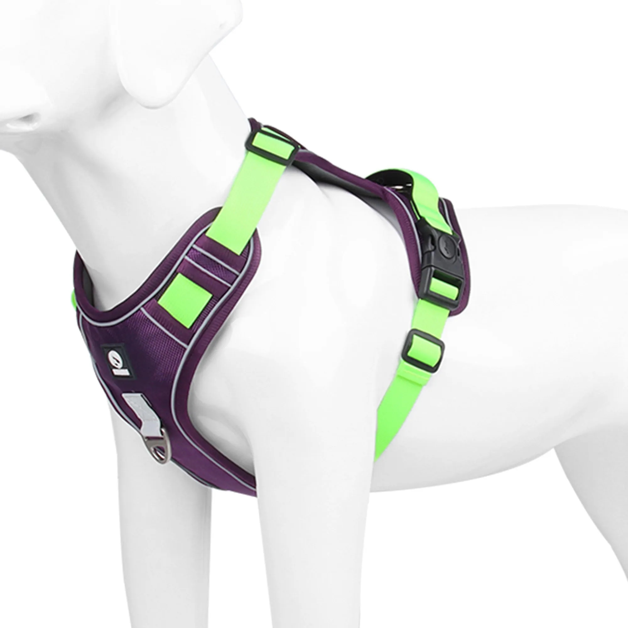 Dog Leash 2