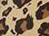 Women's Unstructured Fashion Prints Cap - HATTIE 32